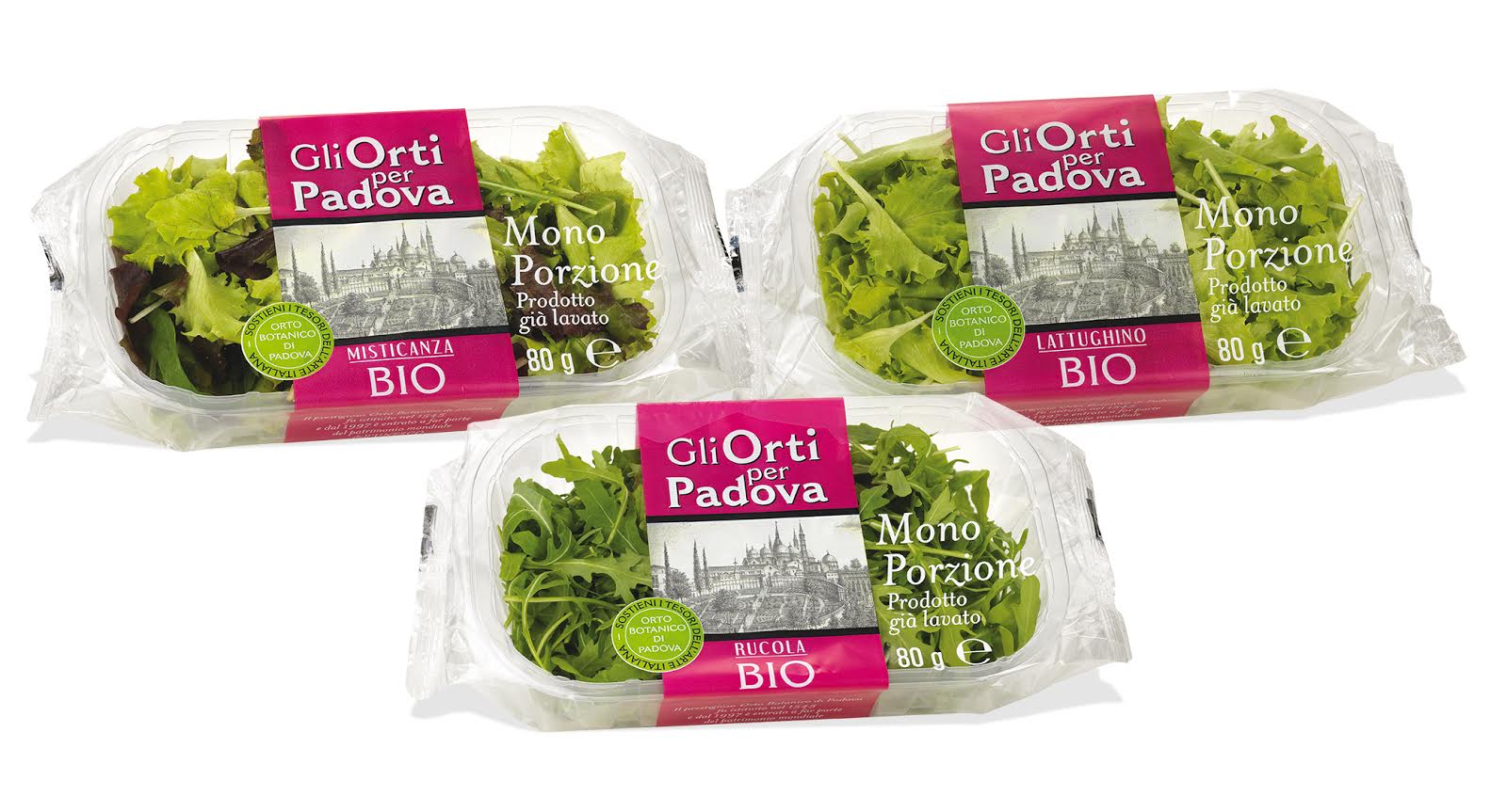 Prato Fiorito Con Specie Selvatiche Ideale X 20mq - Foto 14