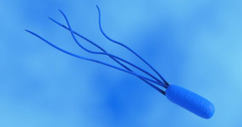 Il Citometro: lo strumento che vede l’E. Coli in pochi secondi