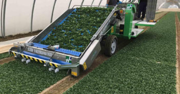 Dentro le serre con la raccoglitrice elettrica. Novità Hortech