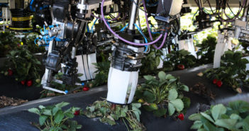 Robotizzazione della raccolta. Primi test in America e Spagna