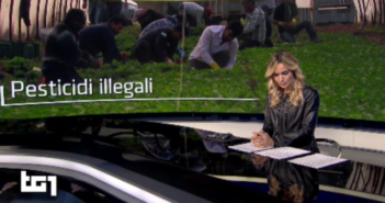 Pesticidi illeciti nel Basso Lazio? Anche San Lidano replica al TG 1