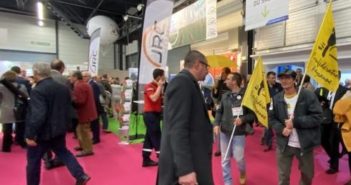 Polemiche in Francia sull’indivia di Vilmorin. È OGM?