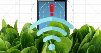 Spinaci che inviano mail. Straordinaria sperimentazione al MIT