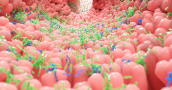 Sottoprodotti dell’ortofrutta, risorsa da scoprire per la IV Gamma. Ecco perché