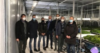 OP Oasi (fornitore Bonduelle) verso un accordo con Edo Radici Felici