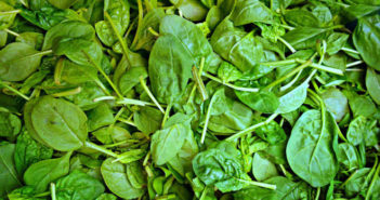 Lavaggio con ultrasuoni per pulire gli spinaci. Scoperta in Inghilterra