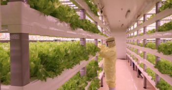 Da Ageon nuova soluzione per il vertical farming. Test in tre regioni