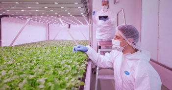 Planet Farms, nuovo stabilimento nel Comasco