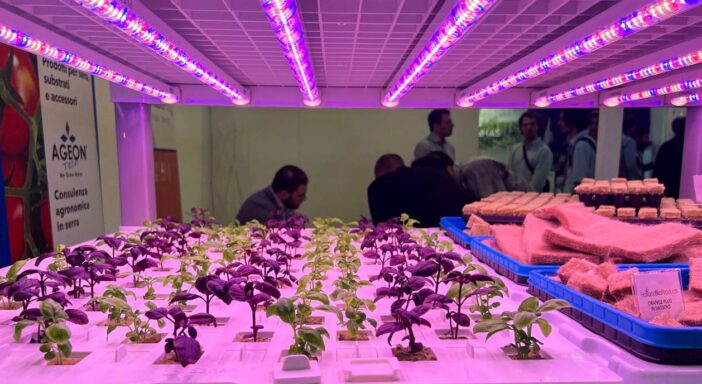 NovelFarm, iscrizioni aperte per l’edizione 2026