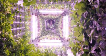 La scalata del vertical farming: dati e analisi all’Indoor AgTech Summit