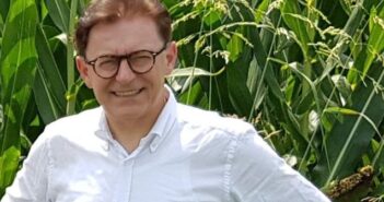 ISMEA: In arrivo il costo minimo di produzione per le insalate di IV Gamma