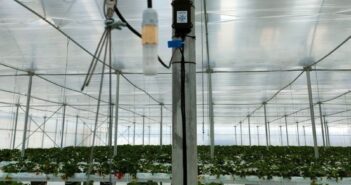 Monitoraggio colture senza elettricità con Lualtek, che raccoglie 300mila euro