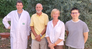 Ricerca: le colture idroponiche sono una risposta sostenibile alla carenza d’acqua