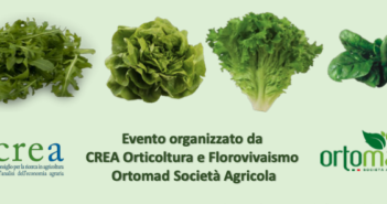 Progetto POFACS per migliorare gli ortaggi da foglia per la IV Gamma, giornata di approfondimento