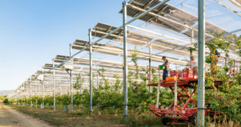 Agrivoltaico avanzato, Sun’Agri mette radici in Italia