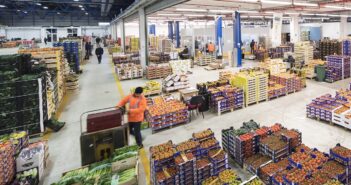 Focus sui grossisti nella nuova rubrica del Corriere Ortofrutticolo