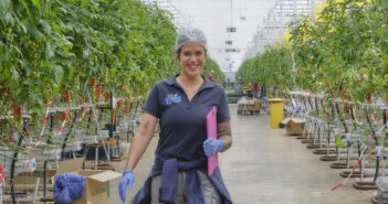 Fri El investe: 30 ettari di serre, sviluppo dei progetti green. E la produzione cresce