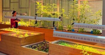 Dubai, One Life lancia The Growhouse: ristorazione e fattoria rigenerativa indoor